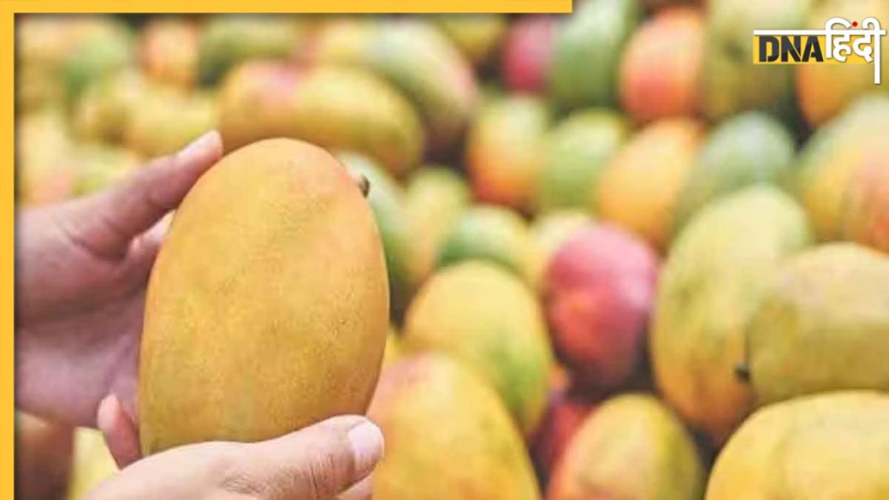 Chemically Ripened Mangoes: केमिकल वाले आम खरीदने से पहले करें चेक वरना ऑक्सीजन की कमी जैसी होंगी कई दिक्कतें