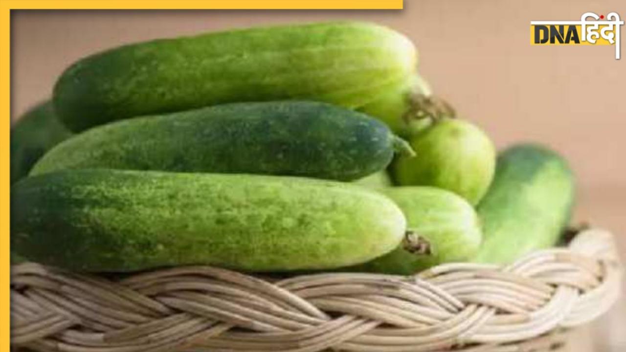 Cucumber Side Effects: खीरा खाने के बाद पीते हैं पानी तो तुरंत बदलें अपनी ये आदत, वरना फायदे के बदले होगा नुकसान