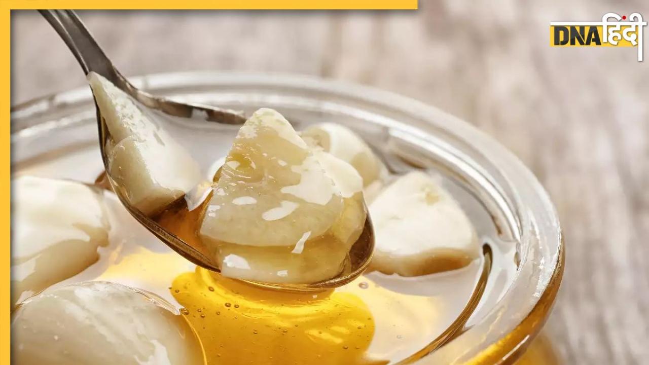 Garlic And Honey Benefits: नसों में भरे बैड कोलेस्ट्रॉल को पिघला देगा लहसुन और शहद, बूस्ट हो जाएगी इम्यूनिटी, जानें खाने का तरीका