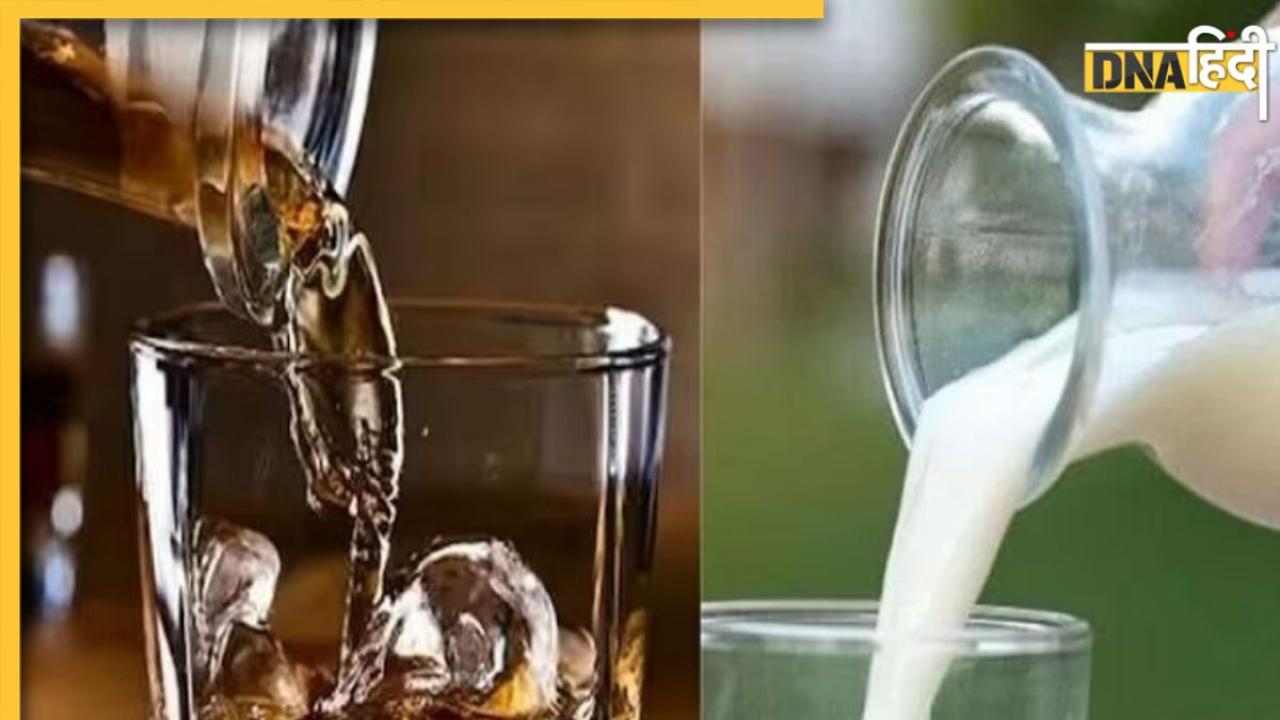 Milk Contains Alcohol: विस्की-बियर से भी ज्यादा नशा है इस जानवर के दूध में, पीते ही हो सकते हैं टुन