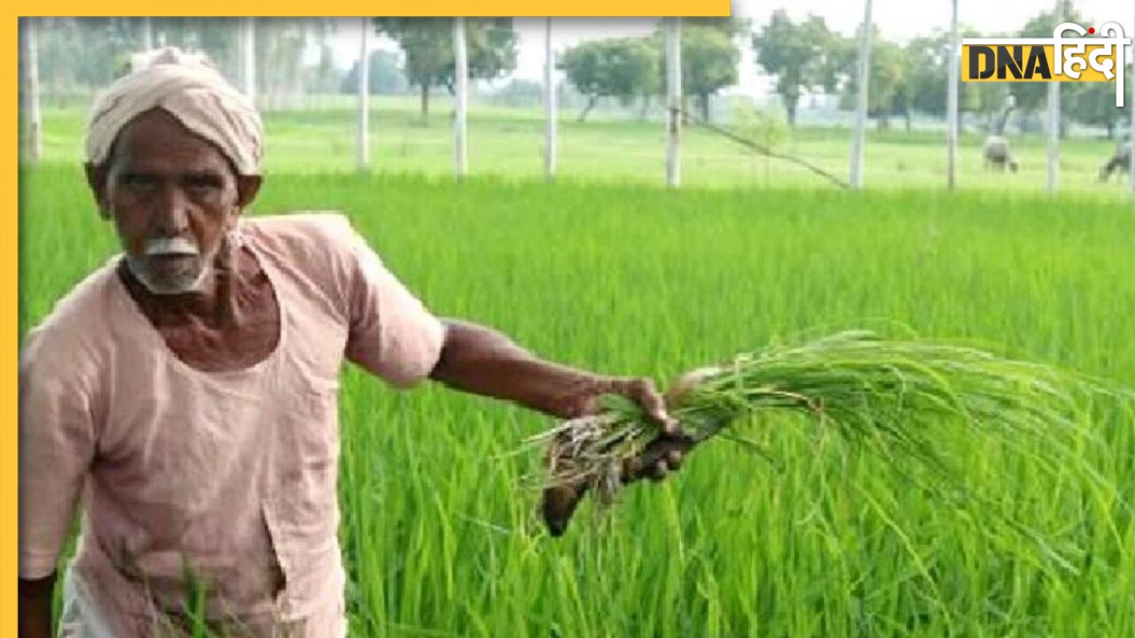 PM Kisan Yojana: यूपी सरकार ने चलाया विशेष अभियान, अब किसानों को पिछली किस्त भी मिलेगी