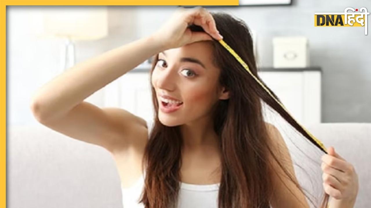 Hair Care Tips: बालों में प्रोटीन की कमी को पूरा कर देंगे ये 5 फूड्स, जड़ों तक मजबूत और शाइनी हो जाएंगे बाल