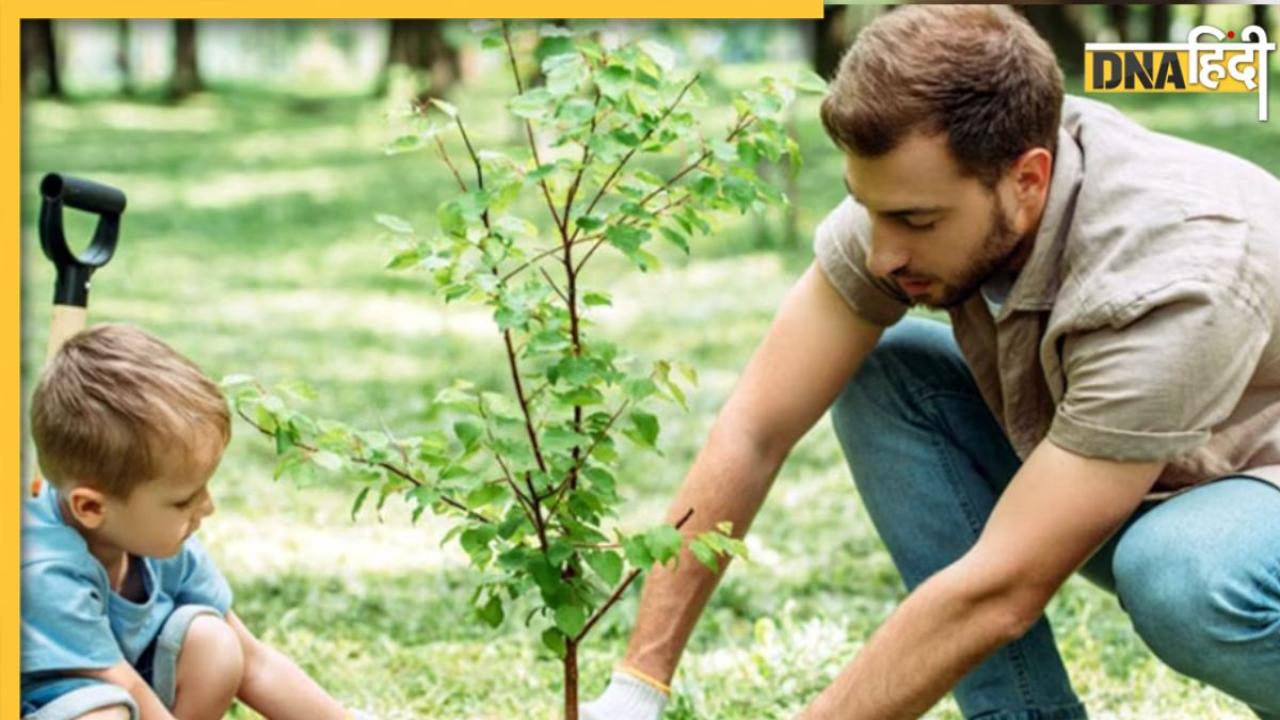 Astro Tips: इन 7 पेड़ों को लगाने से कटते हैं पाप और दुख, जान लें घर में कितनी संख्या में लगाना दिखाएगा असर