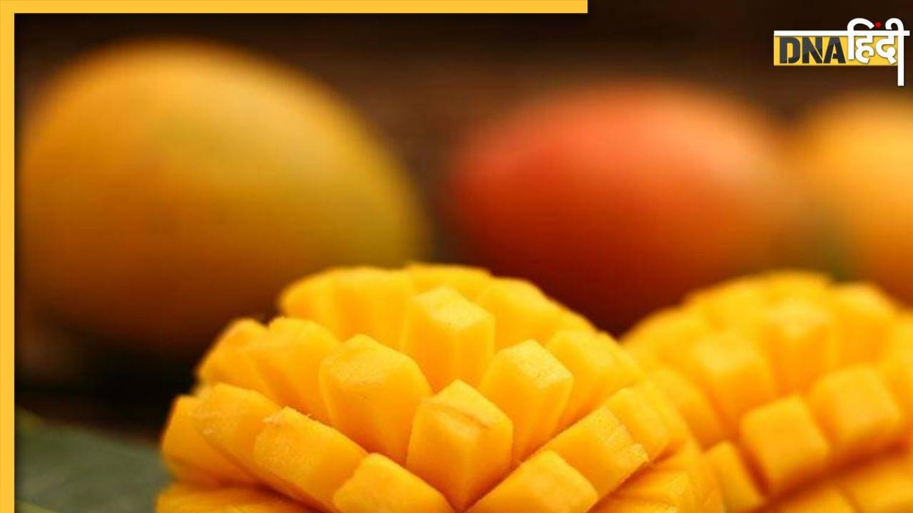 Mango Seeds Benefits: व्हाइट डिस्चार्ज और बवासीर में रामबाण है आम की गुठलियां, जानें कैसे करें इनका इस्तेमाल