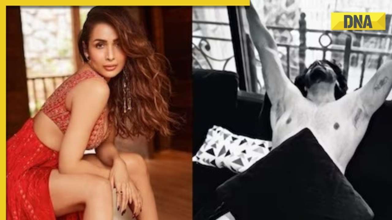 1280px x 720px - Malaika Arora gets mercilessly trolled for sharing semi-nude photo of Arjun  Kapoor, netizens ask 'is she drunk?'