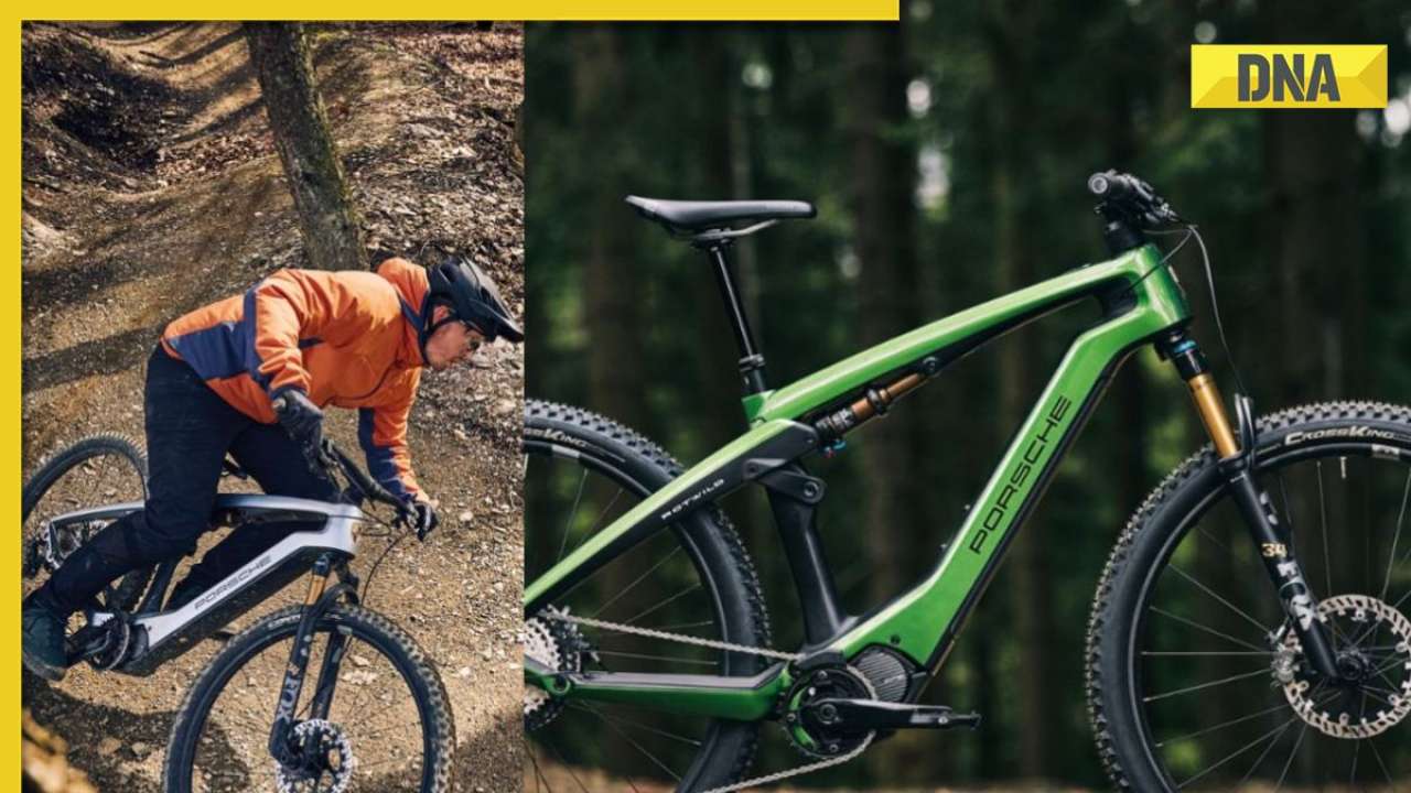 Porsche ebike sales