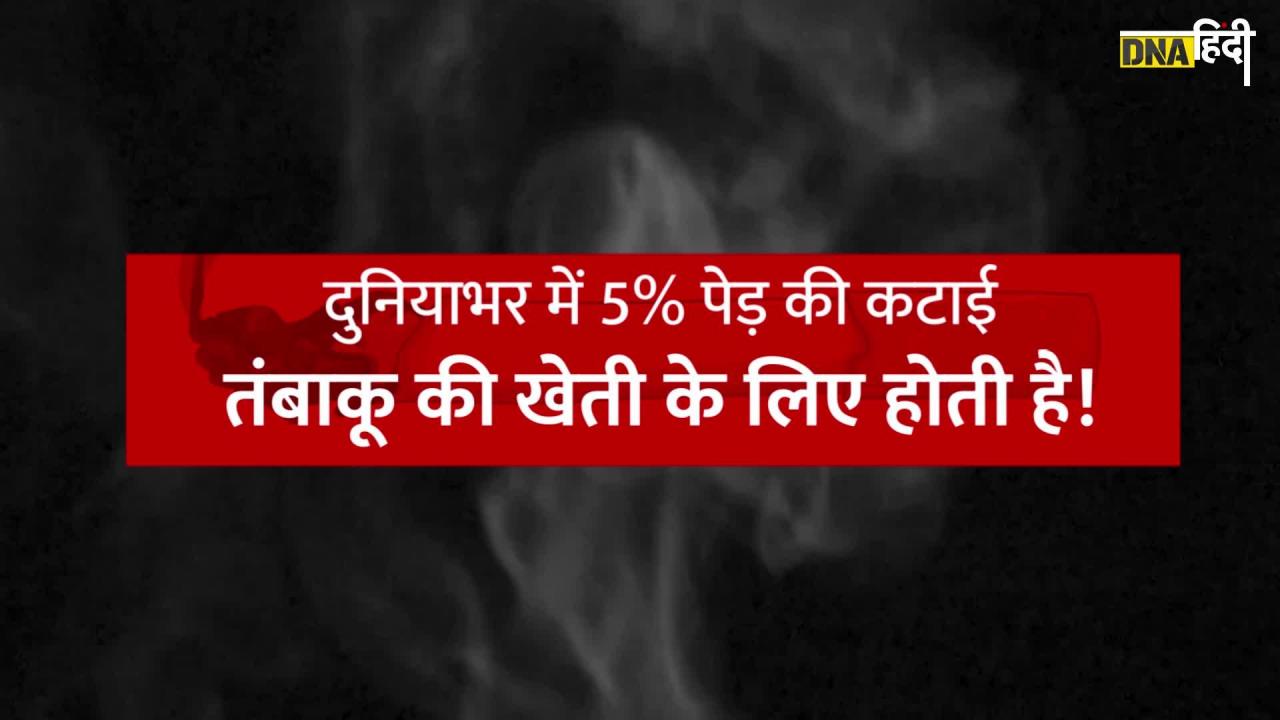 Video: Tobacco Effects on Environment: सिर्फ सेहत नहीं पर्यावरण को भी नुकसान पहुंचा रहा तंबाकू, जानें कैसे?