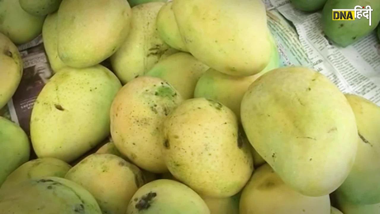 Video: World's Expensive Mango- 2.5 लाख रुपये किलो बिकने वाले दुनिया के सबसे महंगे आम में क्या है खास?