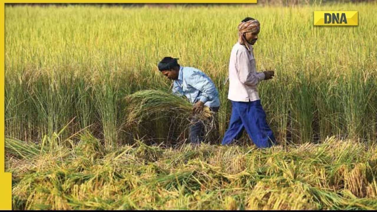PM Kisan Yojana: Some farmers to get benefits of Rs 12,000 every year, know how