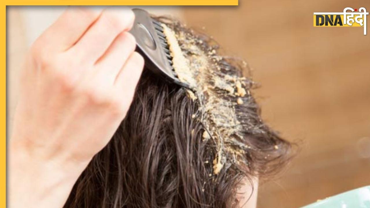 Hair Fall Prevent Tips:झड़ते बालों को रोक देगा ये देसी शैंपू, सिर को ठंडक पहुंचाने के साथ ही बालों को करेगा मजबूत, ऐसे करें तैयार