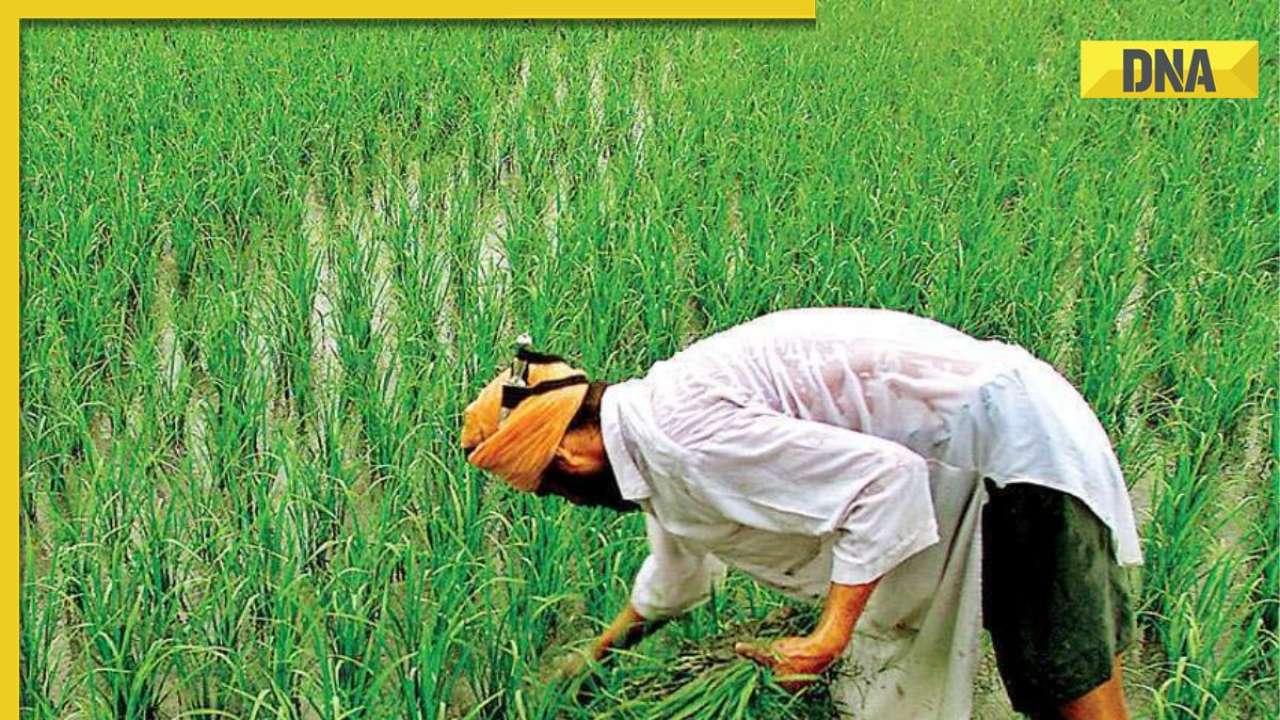 PM Kisan Samman Nidhi Yojana: Know when farmers are getting 14th instalment