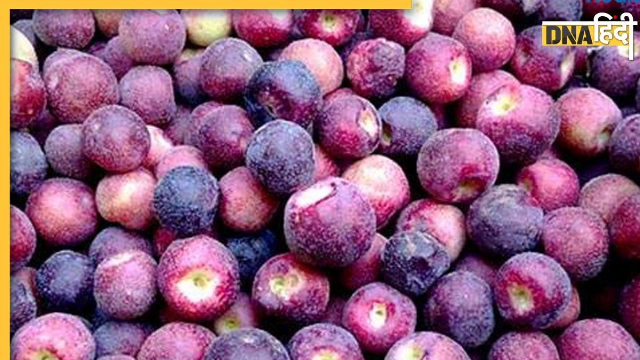 Falsa Health Benefits: डायबिटीज से आर्थराइटिस तक के लिए रामबाण है फालसा, छोटे से फल में 8 बीमारियों का छिपा है इलाज 