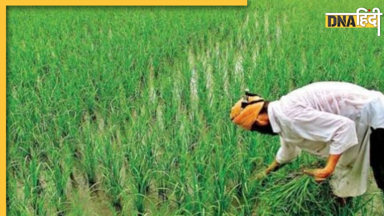 PM Kisan Yojana की इस दिन आएगी 14वीं किस्त, लाभ उठाने के लिए पूरा कर लें ये जरूरी काम 