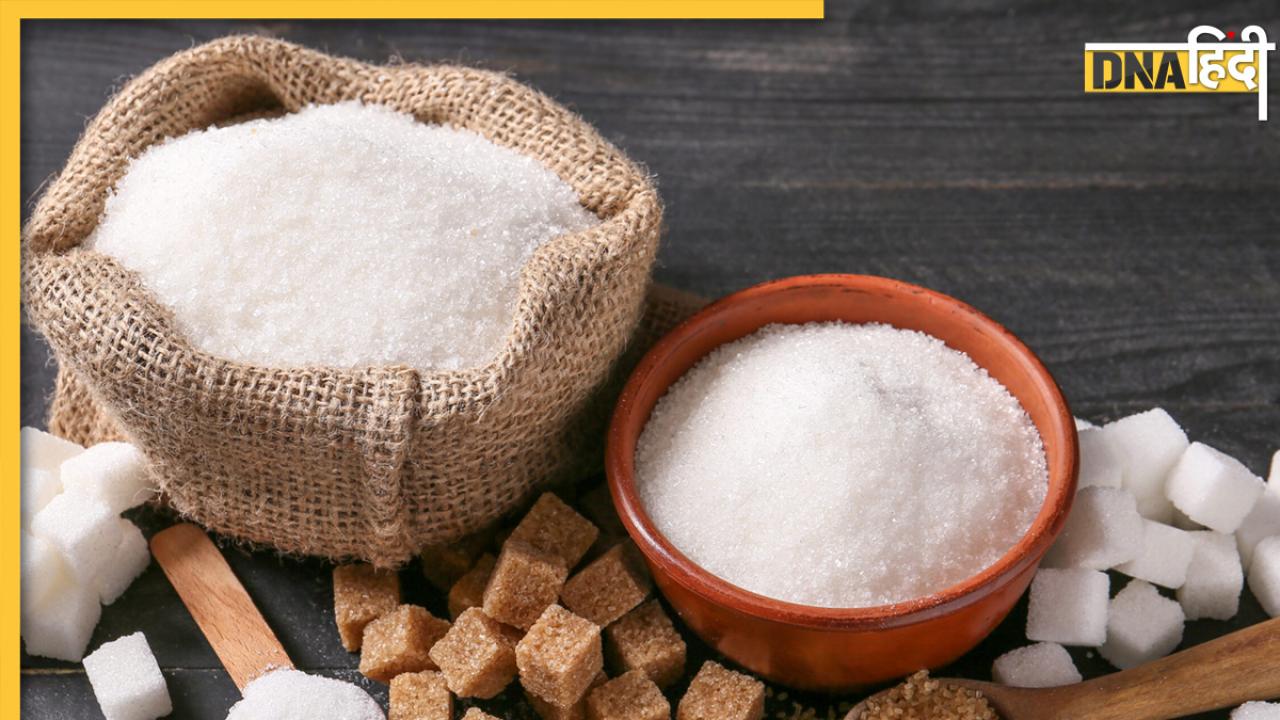 Sugar Free For Diabetes: बिना देखे शुगर फ्री लेने से जा सकती है जान, ये चीजें हैं डायबिटीज मरीजों के लिए बेस्ट 