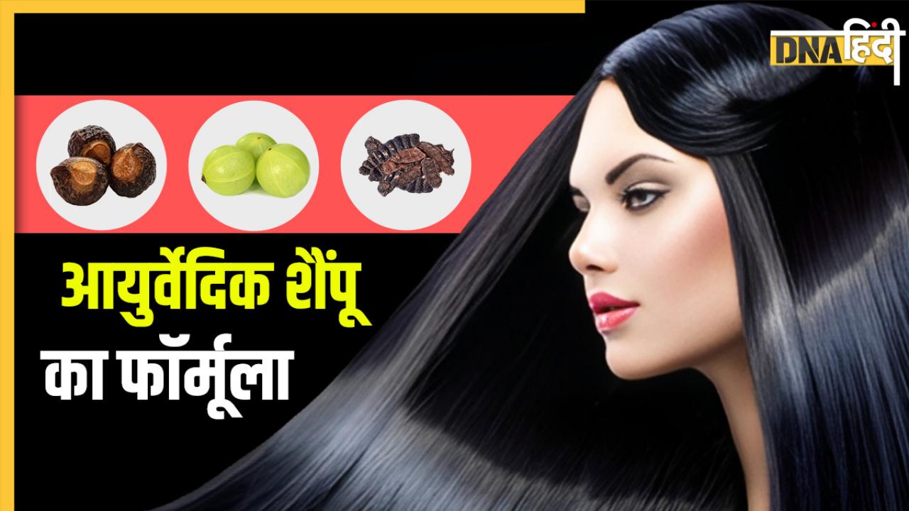 Ayurvedic Shampoo For White Hairs: घर पर बने इस शैंपू से दूर होगी सफेद बालों की समस्या, Hair Dye की नहीं पड़ेगी जरूरत