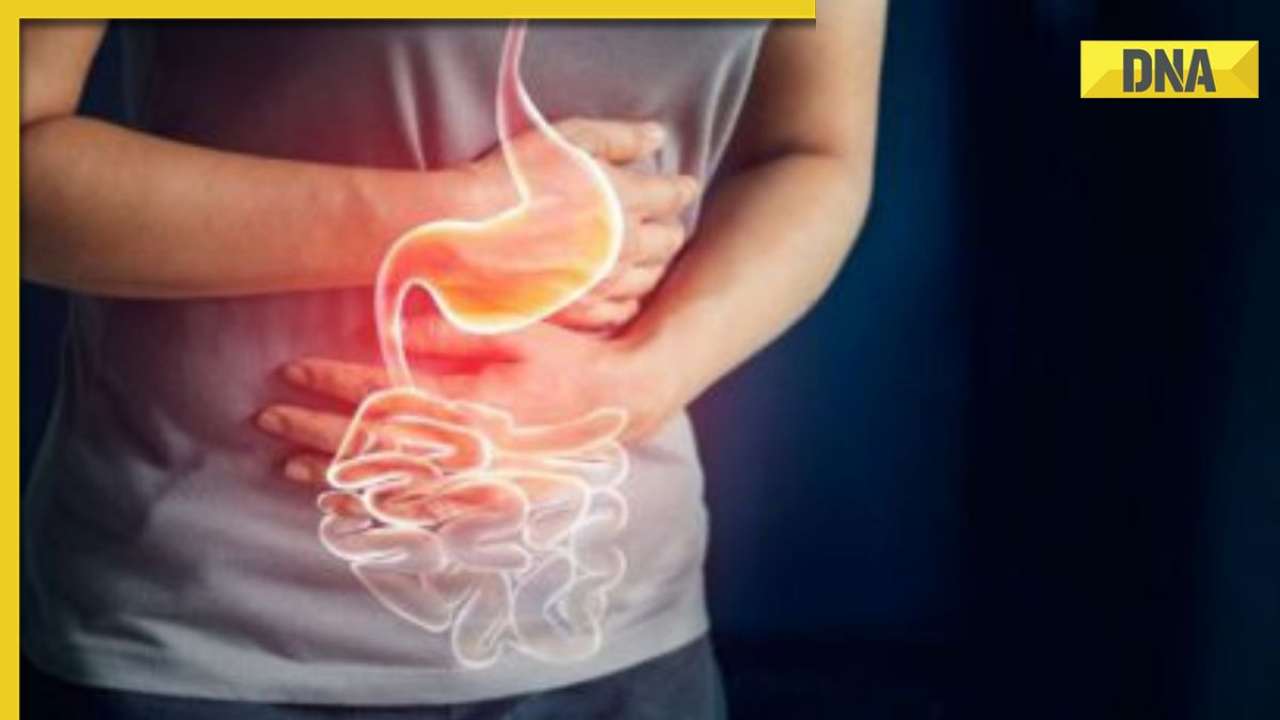 Study Reveals Insights On Bacteria That Causes Food Poisoning study-reveals-insights-on-bacteria-that-causes-food-poisoning