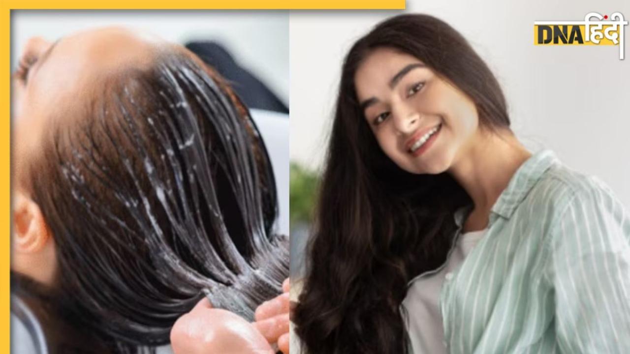 Homemade Shampoo: सफेद बालों को काला कर देगा रीठा-आंवला और शिकाकाई से बना ये होममेड शैंपू, हेयर फॉल की प्रॉब्लम भी होगी दूर 
