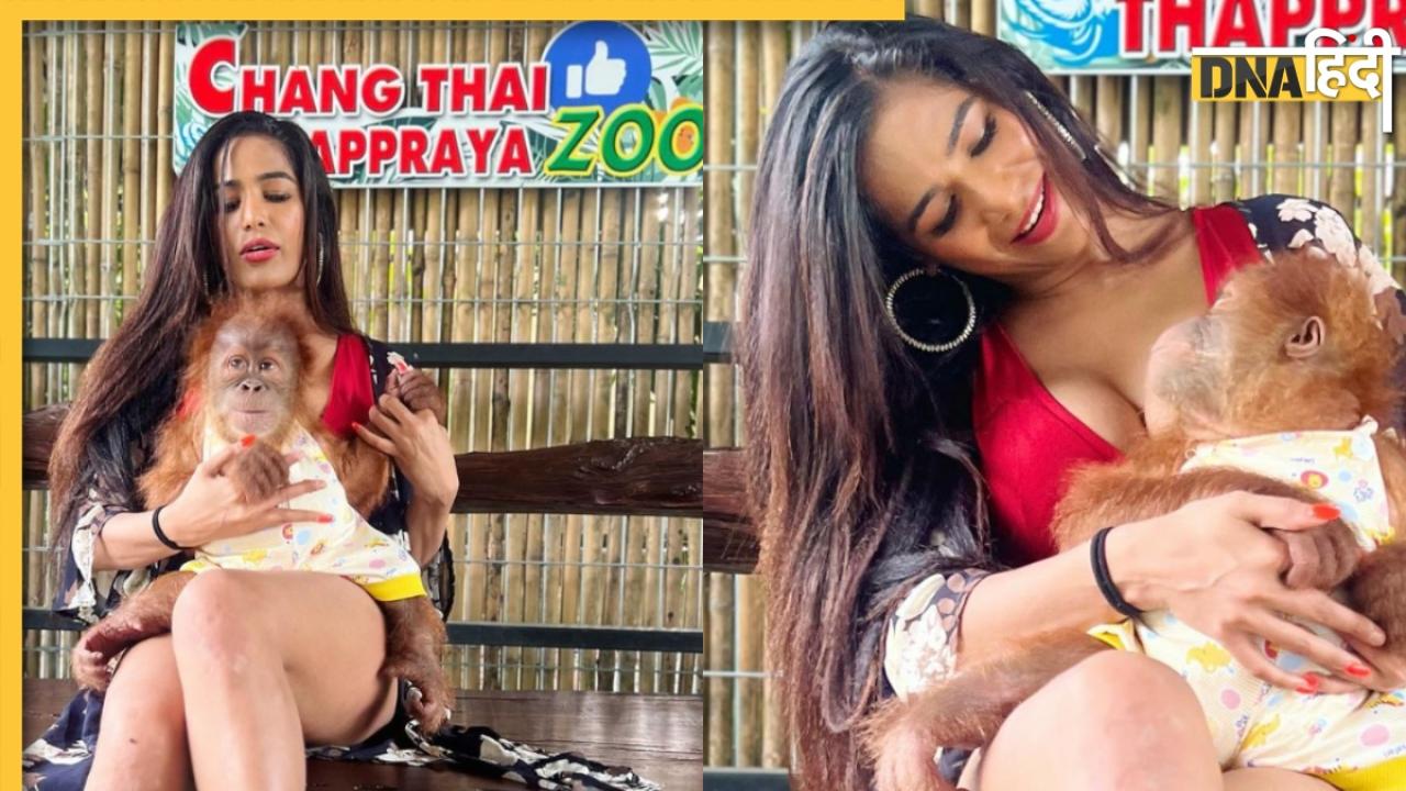 शेर के बाद अब चिंपैंजी के बच्चे के साथ Poonam Pandey ने शेयर की ऐसी तस्वीरें, देख कर भड़के लोग