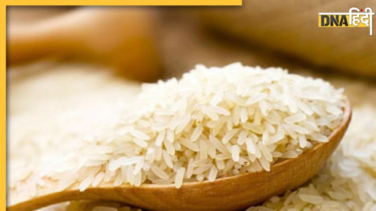 Rice Export Ban: सरकार ने चावल के निर्यात पर लगााया बैन, त्योहारों से पहले क्यों लिया इतना बड़ा फैसला?