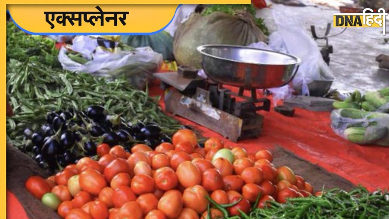 Tomato Price: सस्ते में टमाटर बेच रहे किसान, फिर आपके लिए क्यों हो गया महंगा? समझिए पूरा खेल