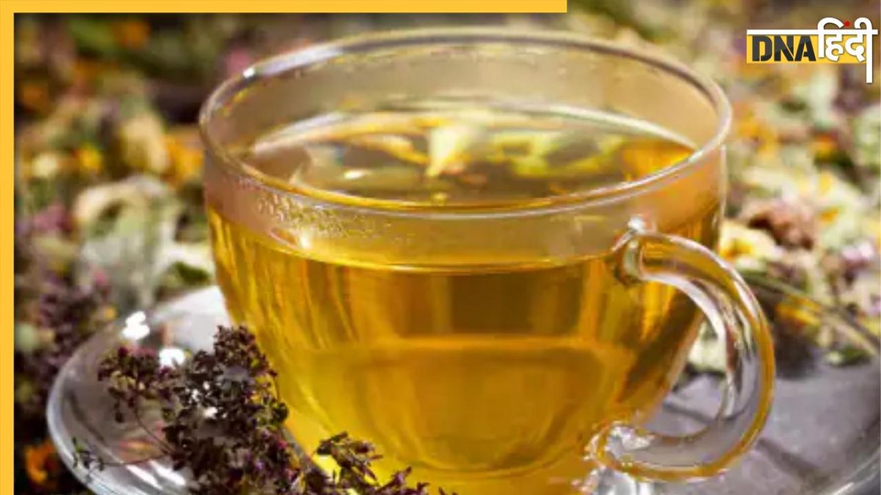 Ayurvedic Tea For Monsson: बरसाती मौसम में सुबह उठते ही लें ये आयुर्वेदिक चाय, आसपास भी नहीं फटकेंगी मौसमी बीमारियां