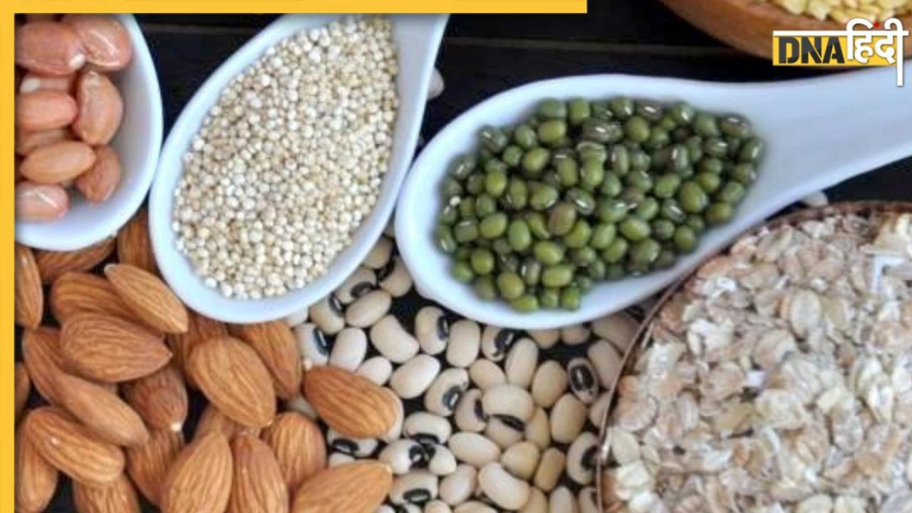 Protein Rich Food: इन शाकाहारी फूड्स से प्रोटीन की कमी होगी पूरी, High Protein के लिए शुरू कर दें खाना