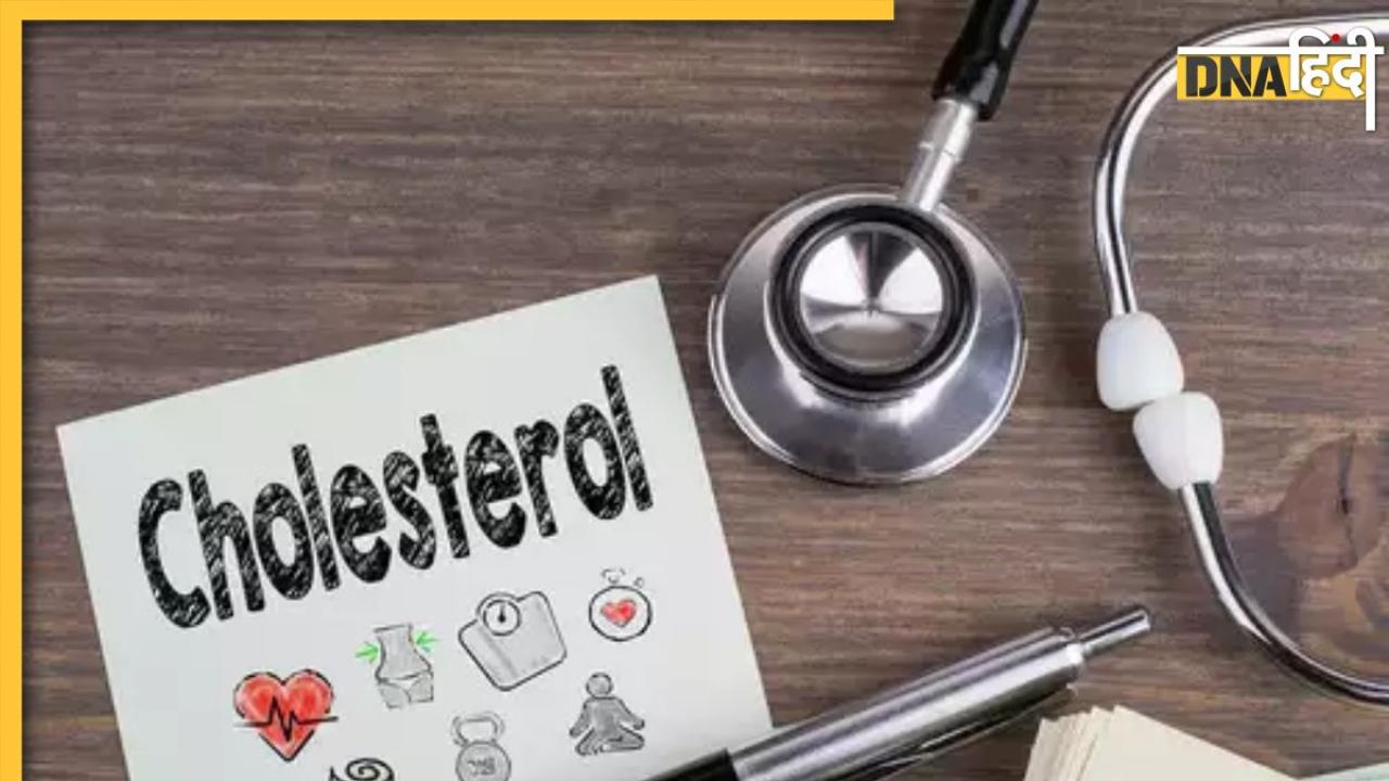 Food Combination For Cholesterol: दही से लेकर बादाम के 4 काॅम्बिनेशन नसों से बाहर कर देंगे कोलेस्ट्राॅल, फिट रहेगी बाॅडी और हार्ट