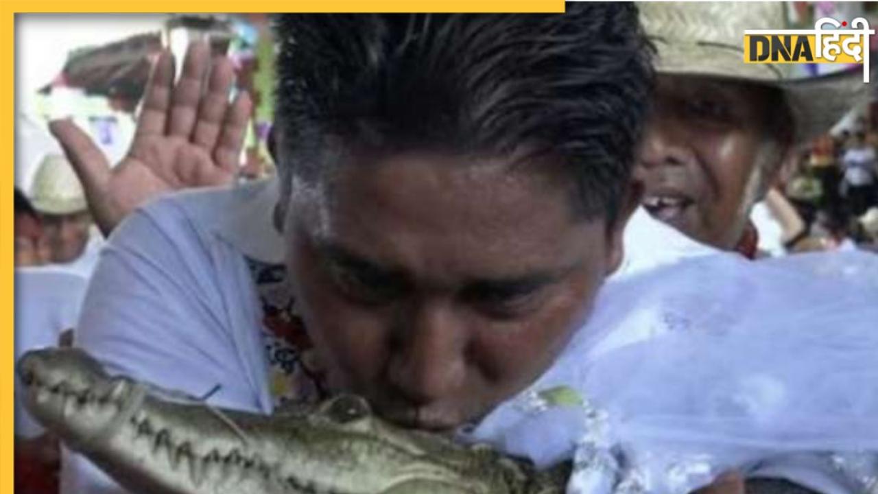 OMG: मेक्सिको के मेयर ने रचाई मगरमच्छ से शादी, वजह जानकर पकड़ लेंगे सिर