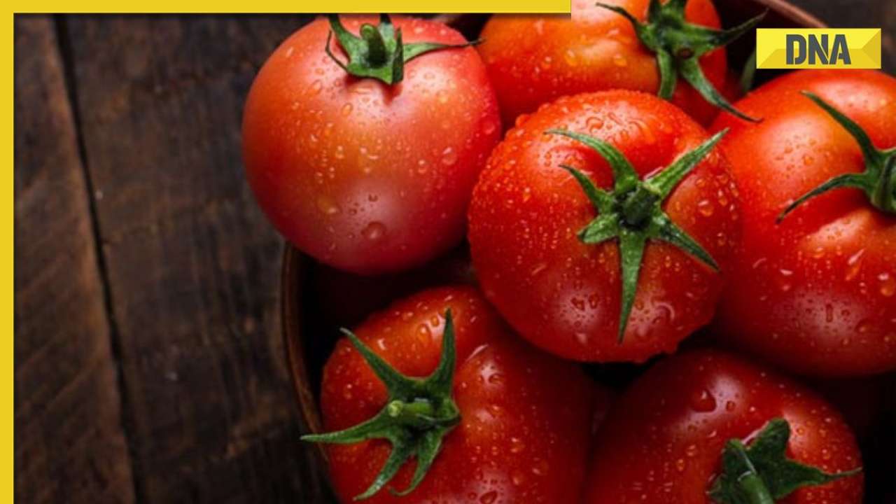 Does eating tomatoes cause kidney stones? know here