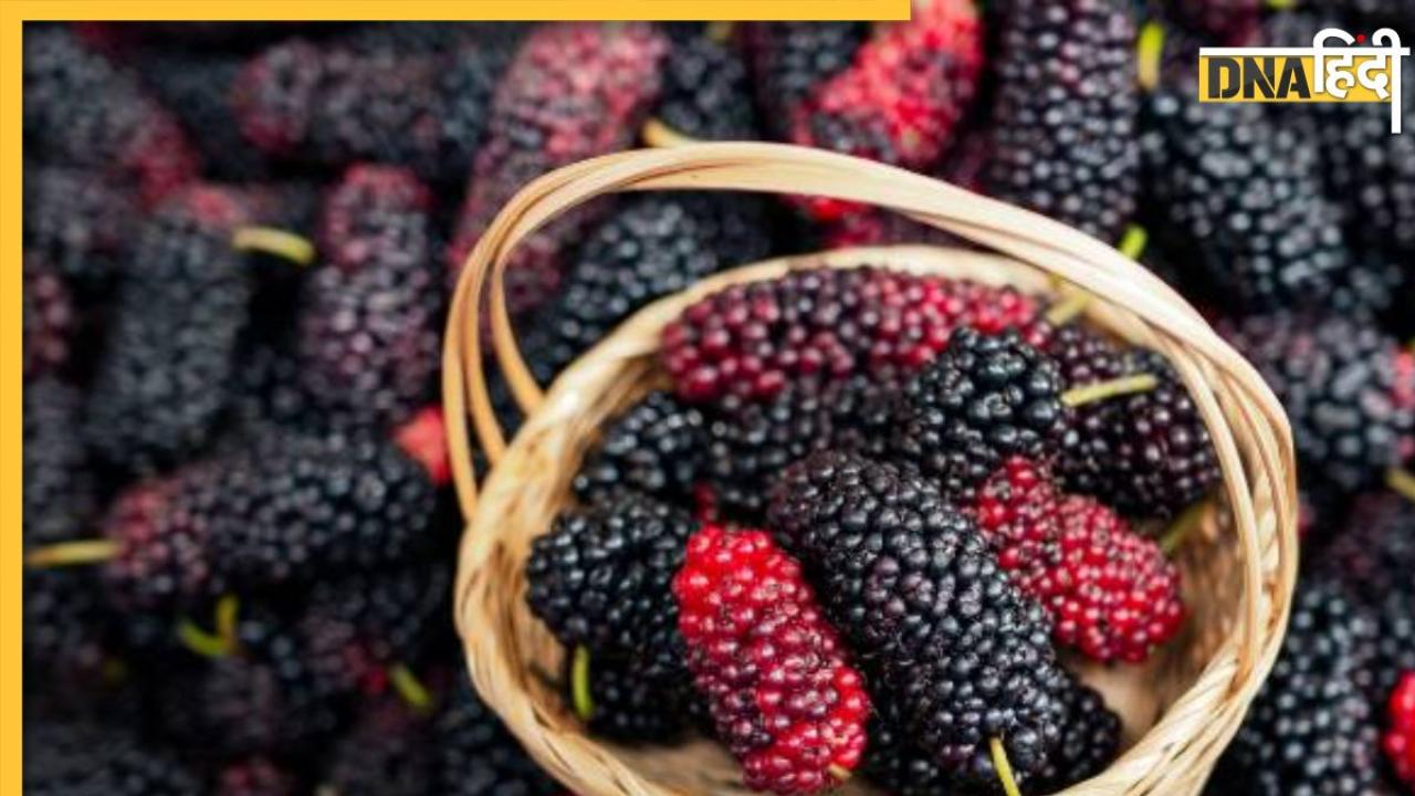 Mulberry Control Diabetes: मीठे स्वाद के साथ ब्लड शुगर को कंट्रोल में रखता है ये छोटा सा फल, खाते ही स्किन भी करती है ग्लो