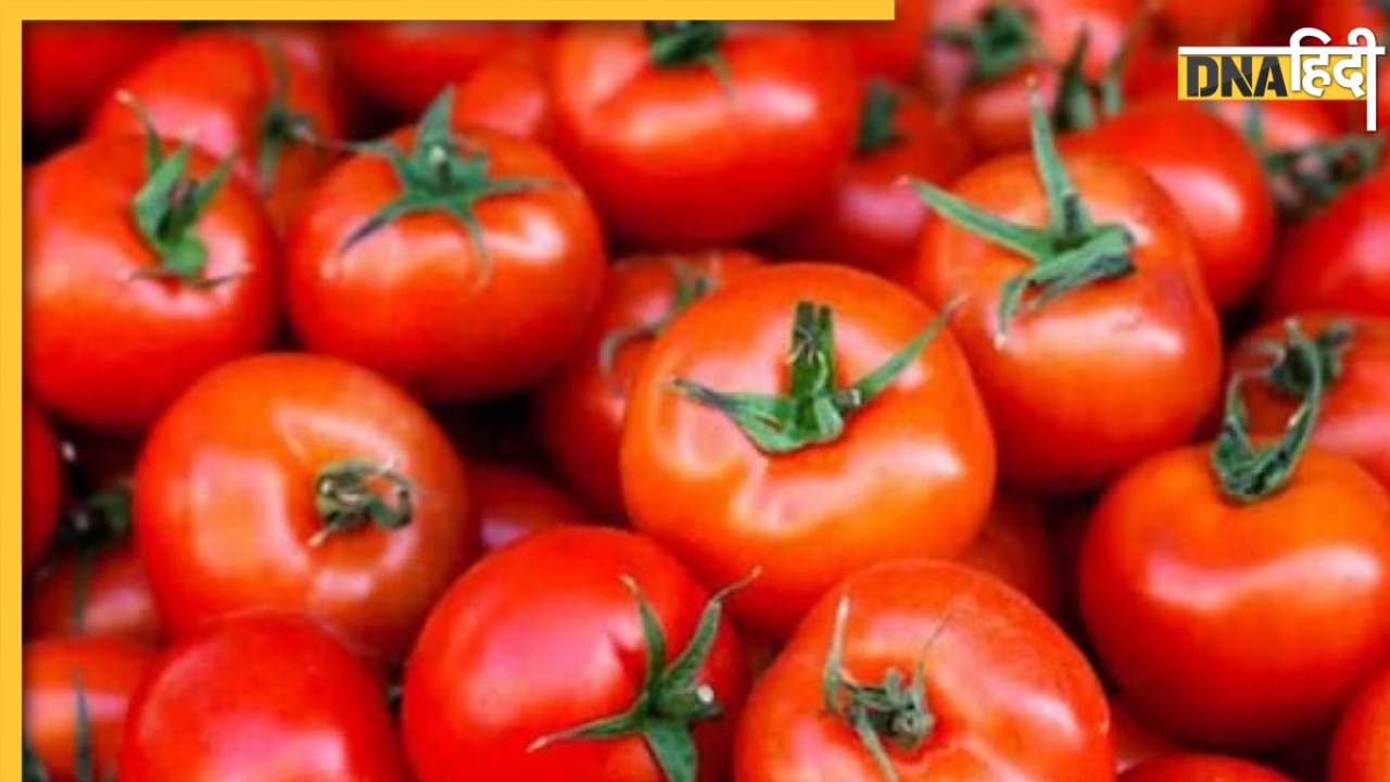 Tomato Loot: 2 लाख रुपये के टमाटर मंडी में बेचने जा रहा था किसान, बदमाश लूट ले गए