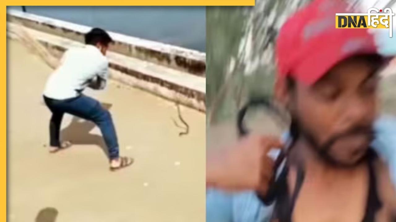  Viral Snake Video: लड़के ने झाड़ू से पकड़ा सांप तो हो गया कुछ ऐसा, वीडियो देखकर हंसी नहीं रोक पाएंगे आप