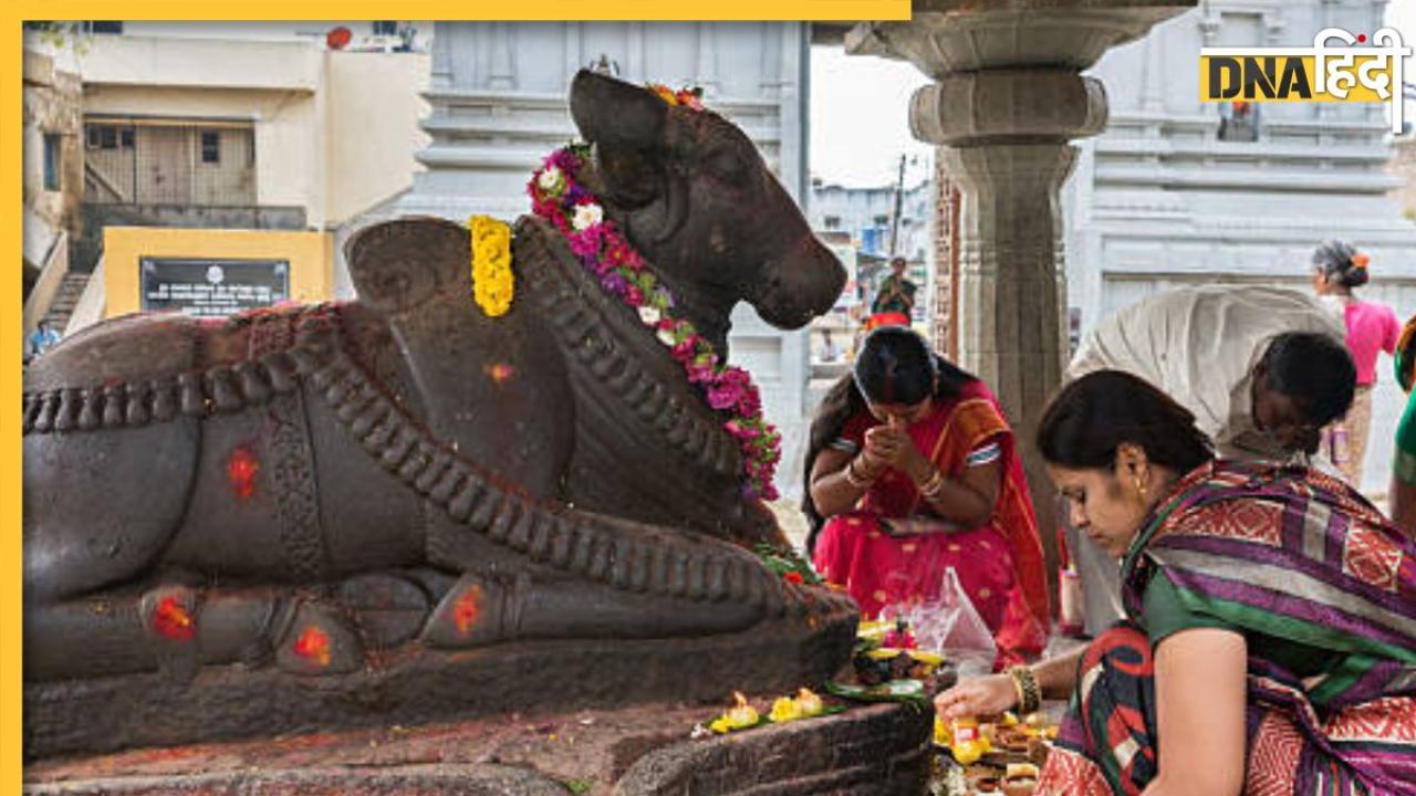 Sawan Upay: भगवान शिव से पूरी करानी है मुराद तो नंदी महाराज पर जल चढ़ाने के साथ करें ये उपाय, पूर्ण हो जाएगी मनोकामना