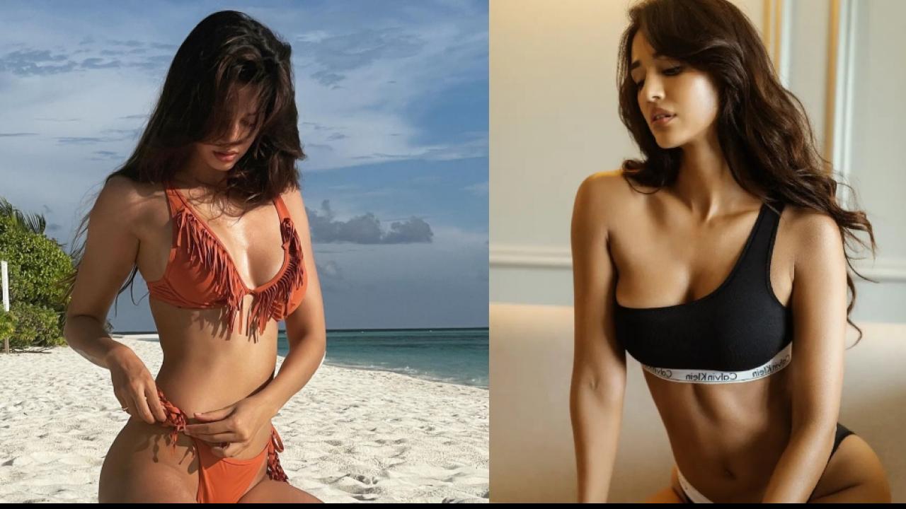 Disha Patani Bikini Body