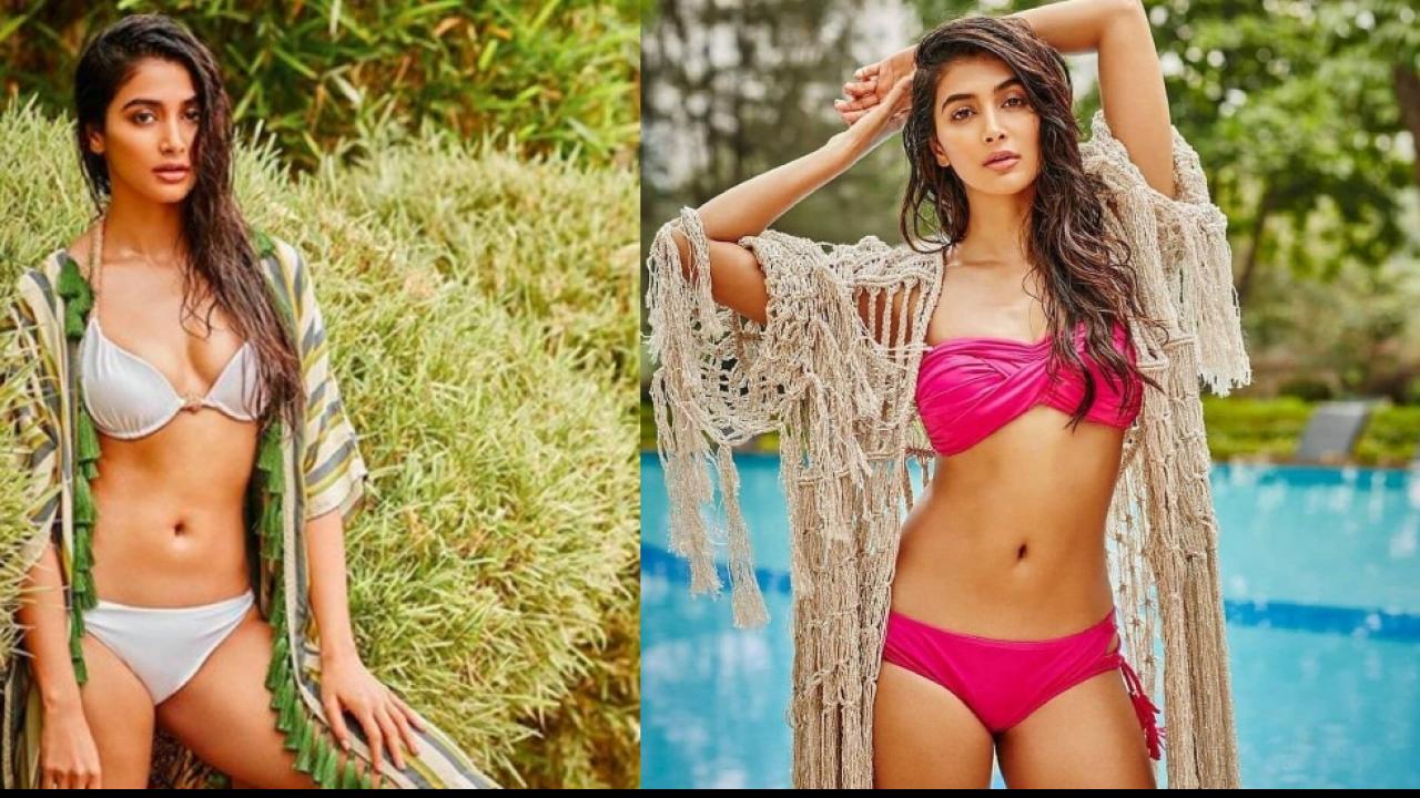 Pooja Hegde Bikini Body