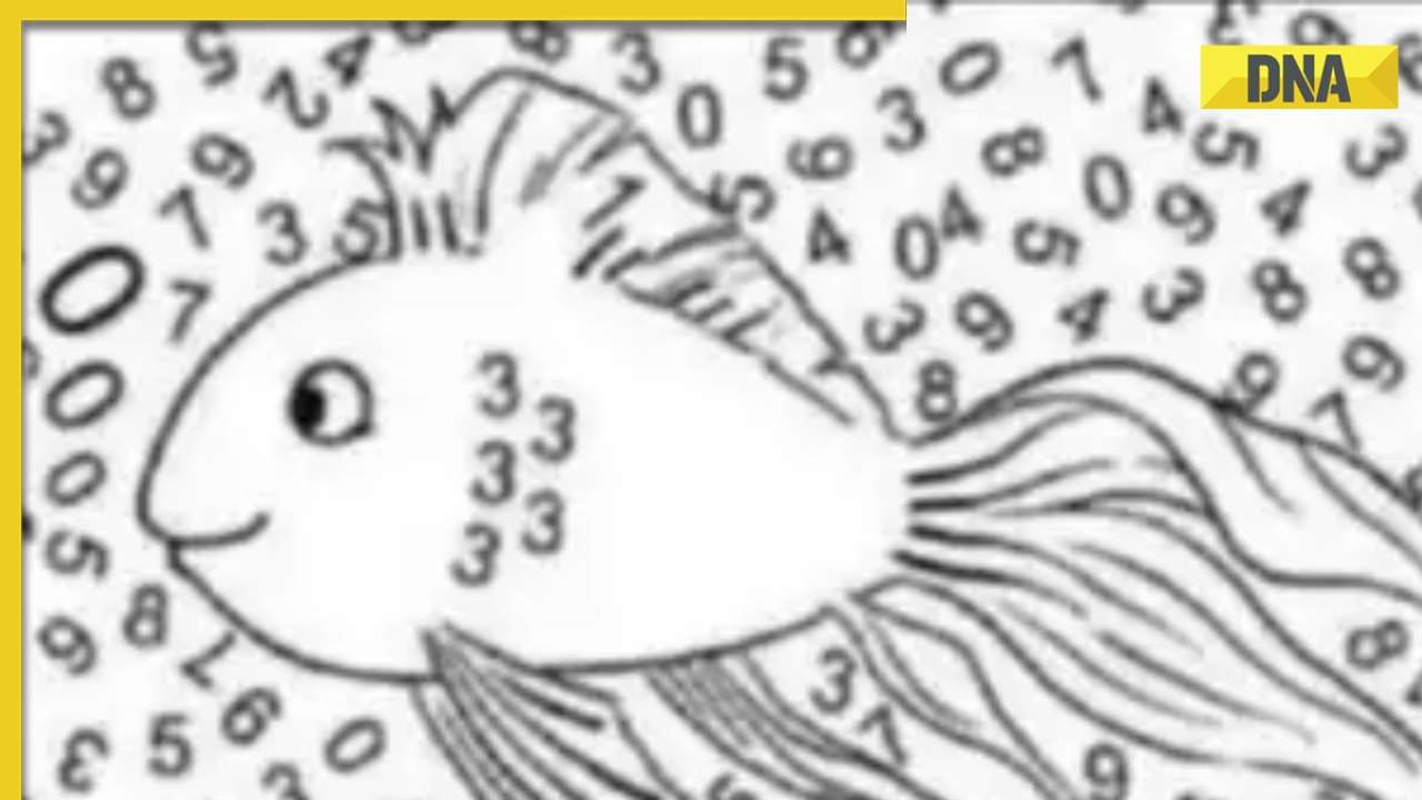Mindboggling fish brain teaser Can you spot '1' in this optical illusion?