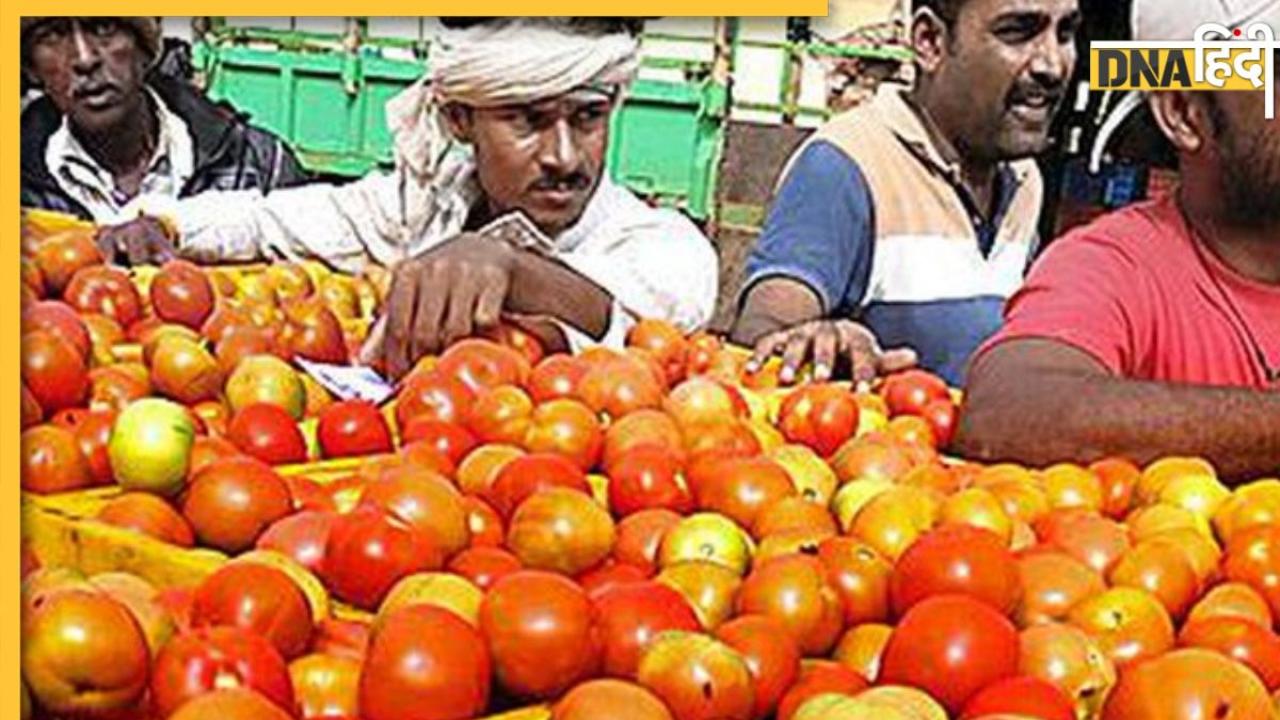 Tomato Price: थाली से गायब हुआ 5 गुना महंगा टमाटर, सोशल मीडिया पर बने ऐसे Memes, देखकर आप भी हंस दोगे