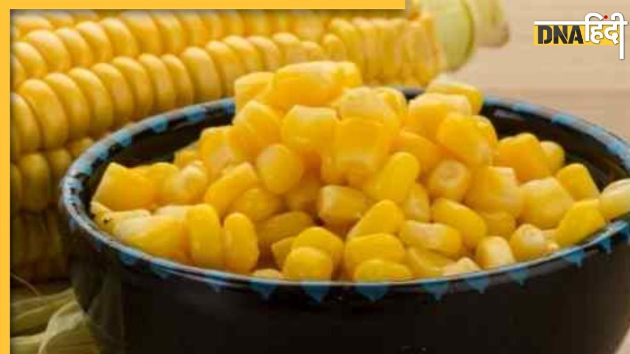 Sweet Corn Side Effects:मॉनसून में स्वीटकॉर्न सेहत के लिए हो सकते हैं घातक, ज्यादा खाने पर स्किन से लेकर पेट तक का बजा देंगे बैंड