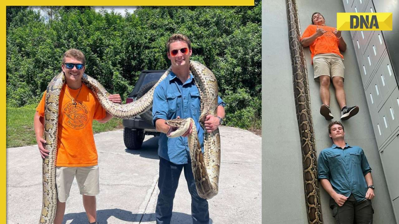 'Record-breaking' 19-foot burmese python caught in Florida by 22-year ...