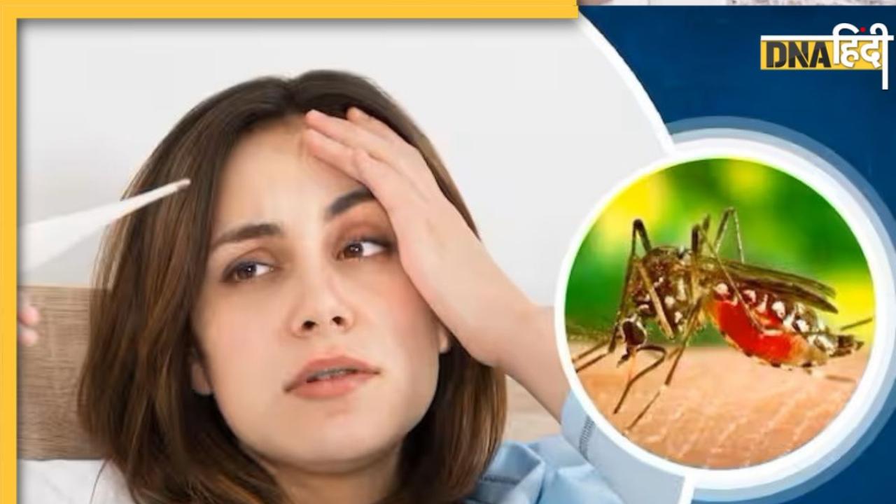 Dengue Alert: डेंगू में प्लेटलेट्स कम होने से ज्यादा खतरनाक है खून में इस एक चीज का बढ़ना, शरीर में कम न होने दें पानी