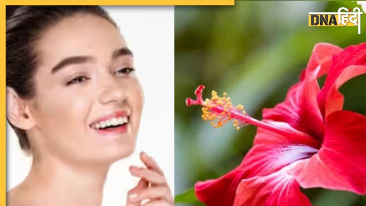 Hibiscus Face Mask: चेहरे पर चाहिए इंस्टेंट ग्लो तो लगाएं इस फूल से बना फेस पैक, एक्ने-पिंपल्स भी होंगे दूर