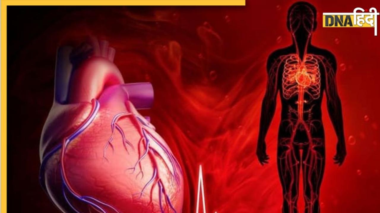 Increase Blood Circulation: शरीर में धीमा पड़ गया है खून का दौरा तो ये 13 चीजें तुरंत बढ़ा देंगी ब्लड सर्कुलेशन