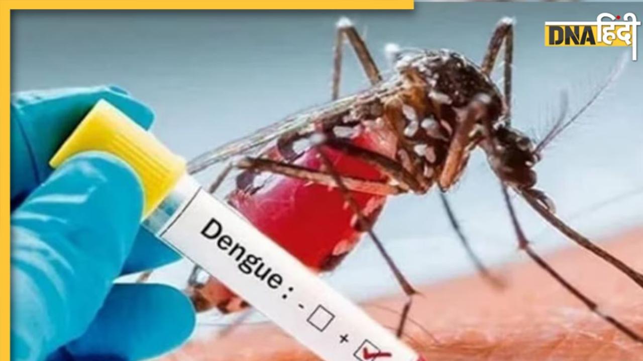 Dengue Symptoms And Treatment: इस स्थिति में डेंगू हो जाता है घातक, शरीर में दिखें ये लक्षण तो तुरंत कराएं जांच 