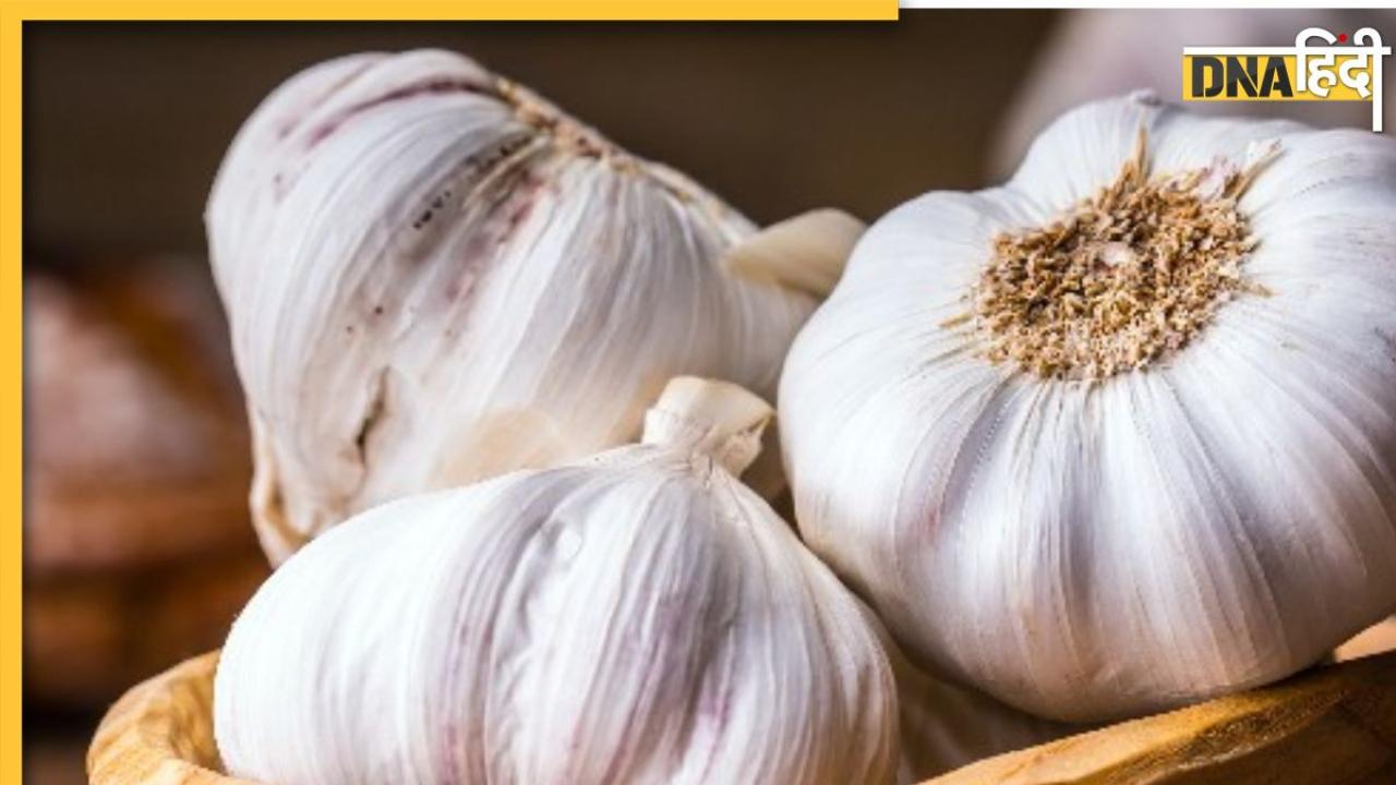 Garlic Benefits: सब्जियों में स्वाद के साथ ही इन 8 समस्याओं को दूर रखता है लहसुन, हार्ट से लेकर पेट तक रहता है सही