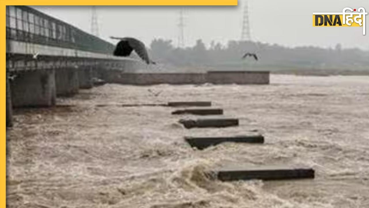 Delhi rains: फिर बढ़ सकता है यमुना का जलस्तर, दिल्ली सरकार ने अधिकारियों को किया अलर्ट