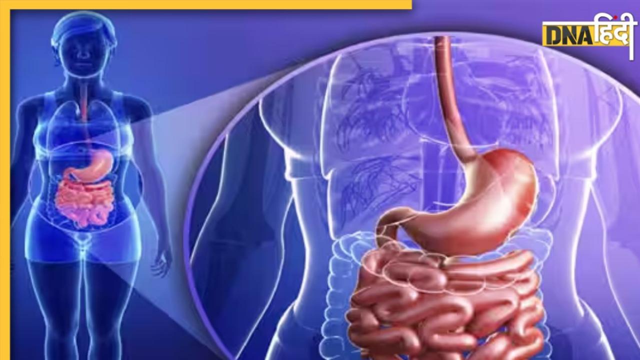 Stomach Worms Symptoms: ये 5 लक्षण बताते हैं पेट में पड़ गए हैं कीड़े, इन चीजों के सेवन से हो जाएंगे खत्म