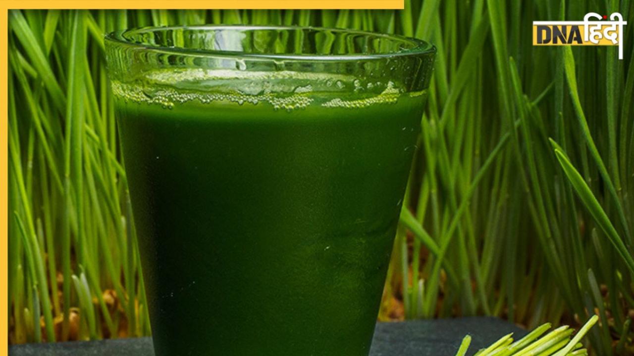 Juice Remedy: खाली पेट ये हरा जूस पीते ही कम होगा यूरिक एसिड, जोड़ों में जमा क्रिस्टल टूट जाएंगे