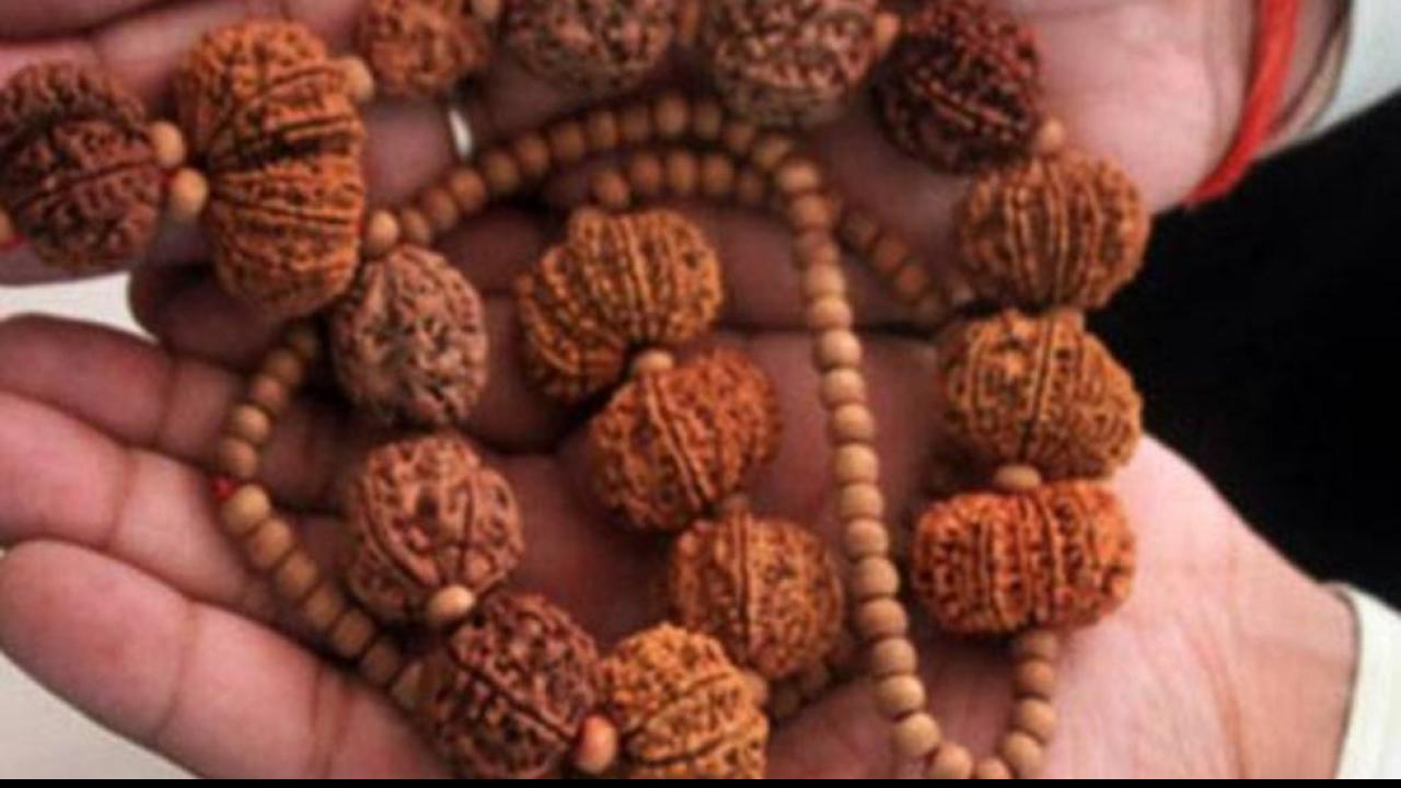 Rudraksha