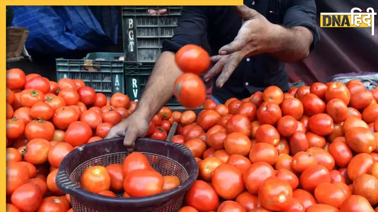 Tomato Price: क्या आपको पता है टमाटर का नया भाव, एक कीलो कीमत जानकर हिल जाएंगे