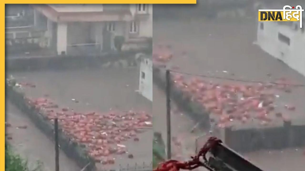 खिलौनों की तरह बह गए LPG सिलिंडर, देखें गुजरात की बाढ़ का हैरान करने वाला वीडियो